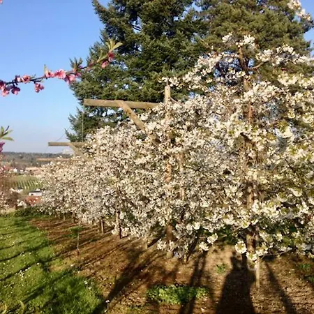 Seeblick - Exklusive In Erster Reihe Mit Balkon Und Seeblick * נוננהורן